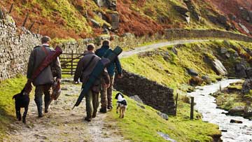 3 men carrying hunting guns and dead birds; 2 dogs by the sides