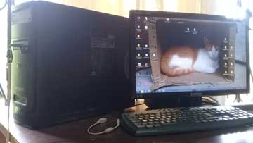 Un computador de mesa. Una foto del gato Monísimo dentro de una caja, por papel tapiz