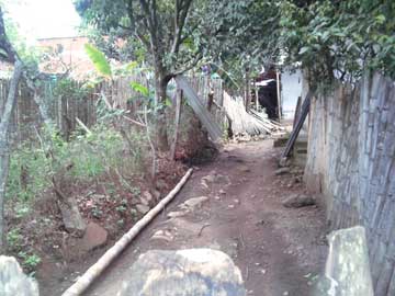 A doorway with a tree on the left and a fence on the right