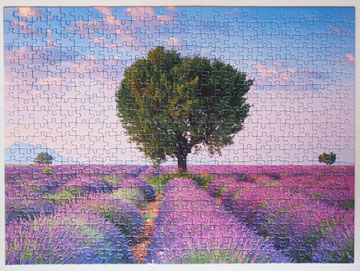 A jigsaw puzzle with an image of some trees and a field