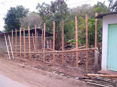 An empty plot of land with some guadua bamboo poles