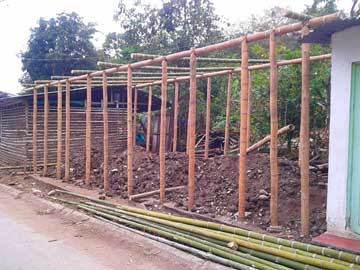 The walls and roof in guadua bamboo poles only, at don Joselito's