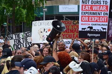 A vegan rally with a good amount of people