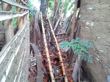 Space between don Joselito's and next door shanty. There's a ladder and a small papaya tree