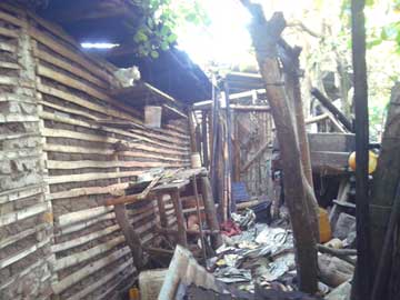 The kitchen without a roof and Nieves in one of the shelves