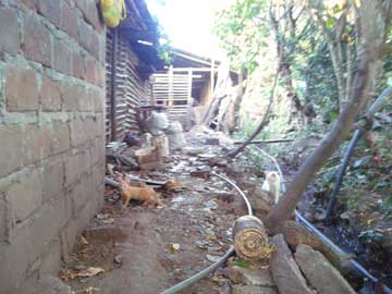 The space where the kitchen used to be and 2 cats, Nieves and Tabaco