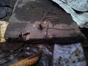 A board on the floor with a very rusty nail stuck in it