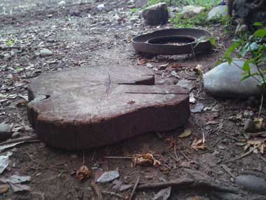 A thick, semi-round piece of a tree cut across, lying on the floor